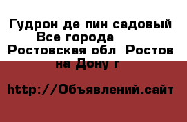 Гудрон де пин садовый - Все города  »    . Ростовская обл.,Ростов-на-Дону г.